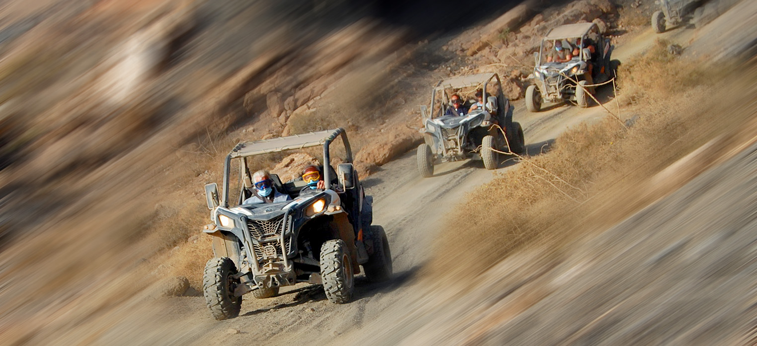 group of buggies on tour