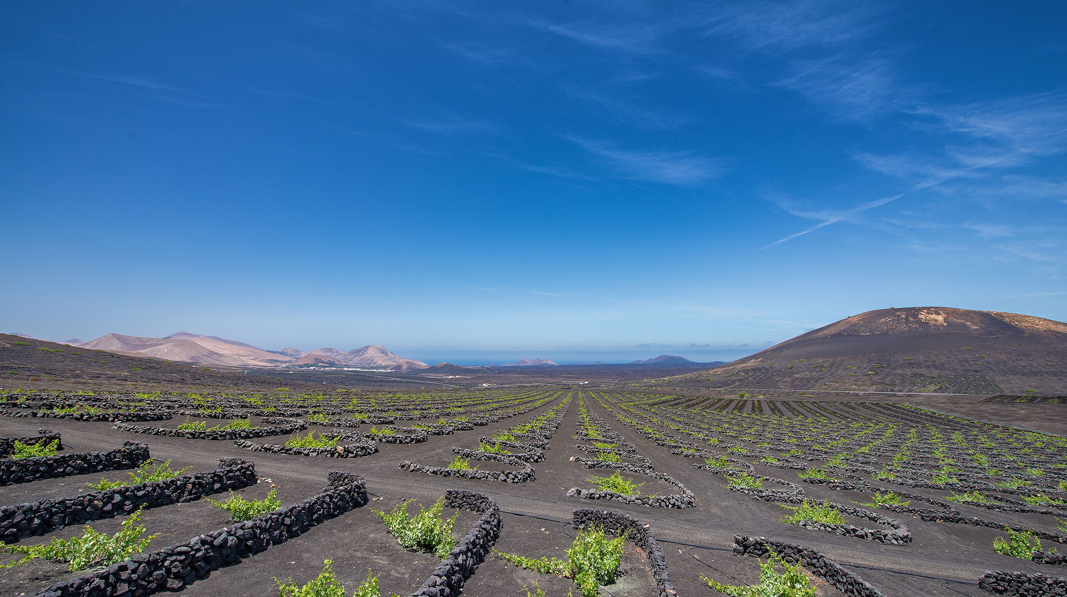 vineyards of Lanzarote - Lanzarote Tourist Guide